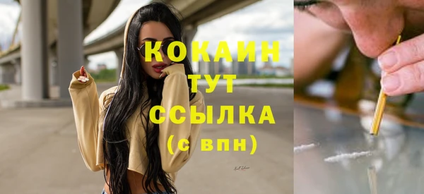 мяу мяу мука Рославль