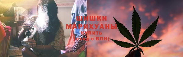 гидра Белокуриха